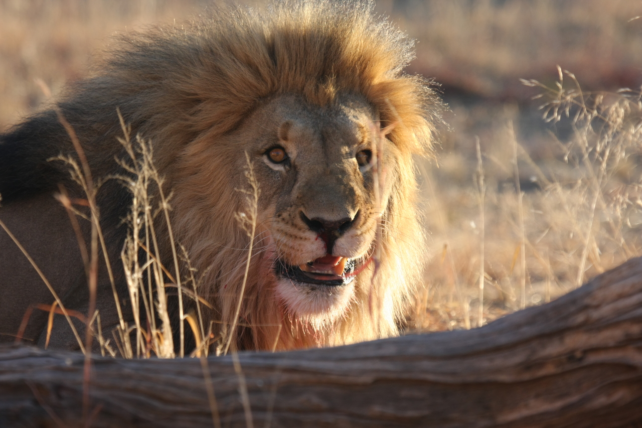 [8012] 2016_06_23_11_48_47_Africa_Canon_EOS_40D_IMG__01608.jpg