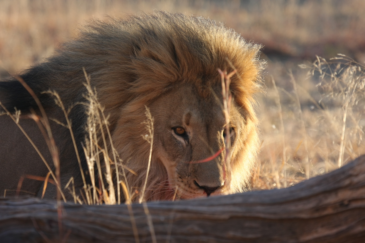 [8032] 2016_06_23_11_48_51_Africa_Canon_EOS_40D_IMG__01616.jpg