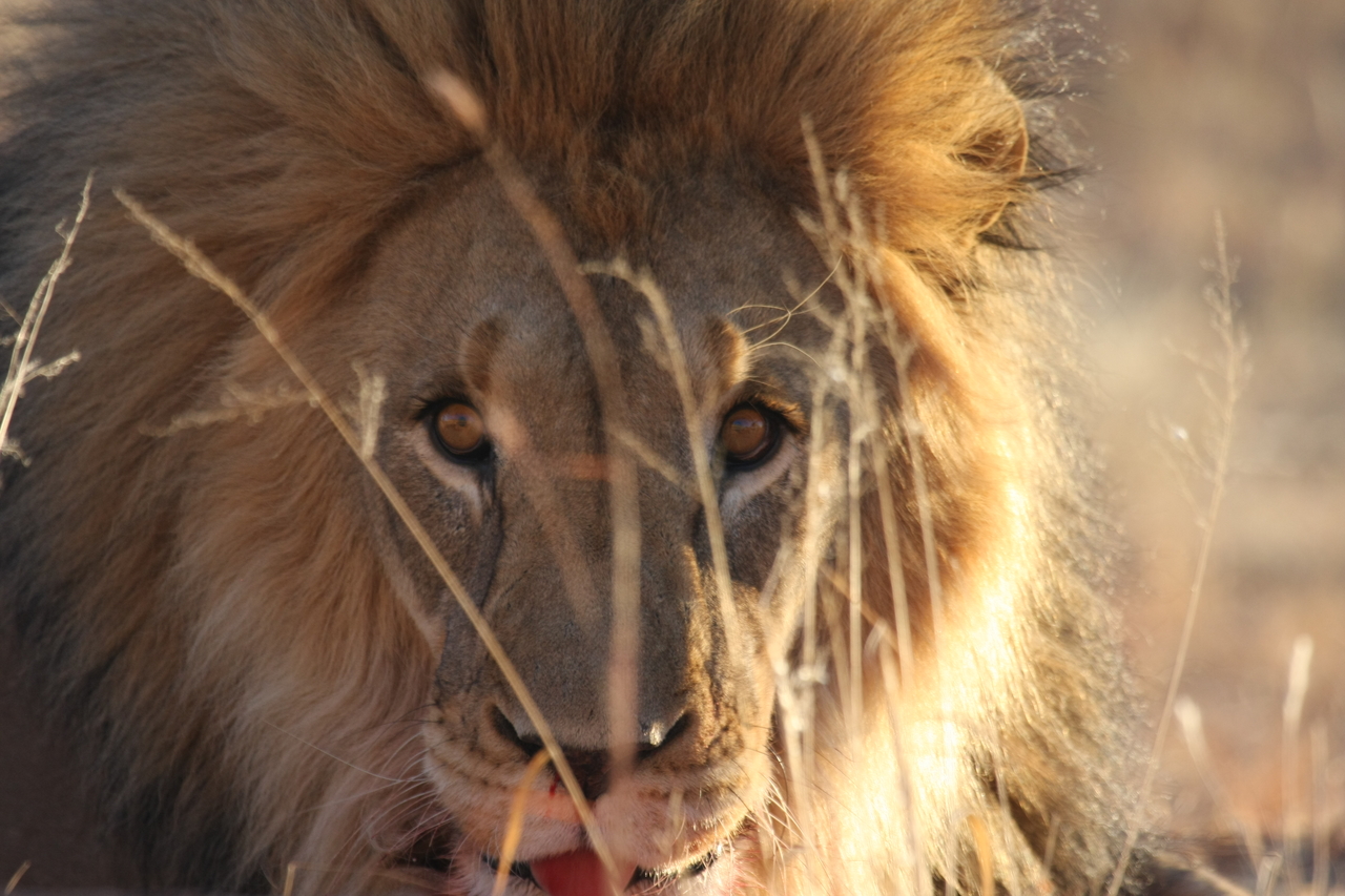 [8047] 2016_06_23_11_49_20_Africa_Canon_EOS_40D_IMG__00788.jpg