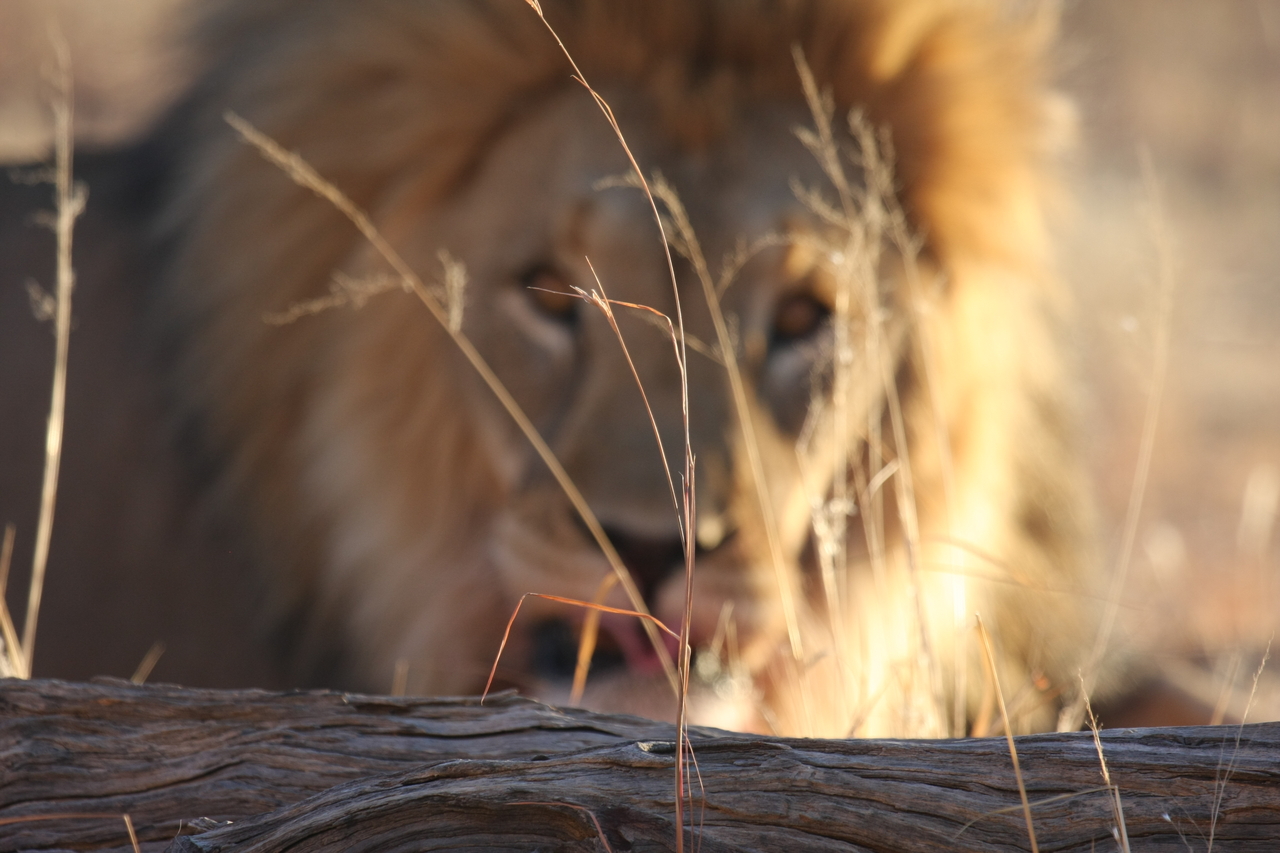 [8065] 2016_06_23_11_49_26_Africa_Canon_EOS_40D_IMG__09073.jpg
