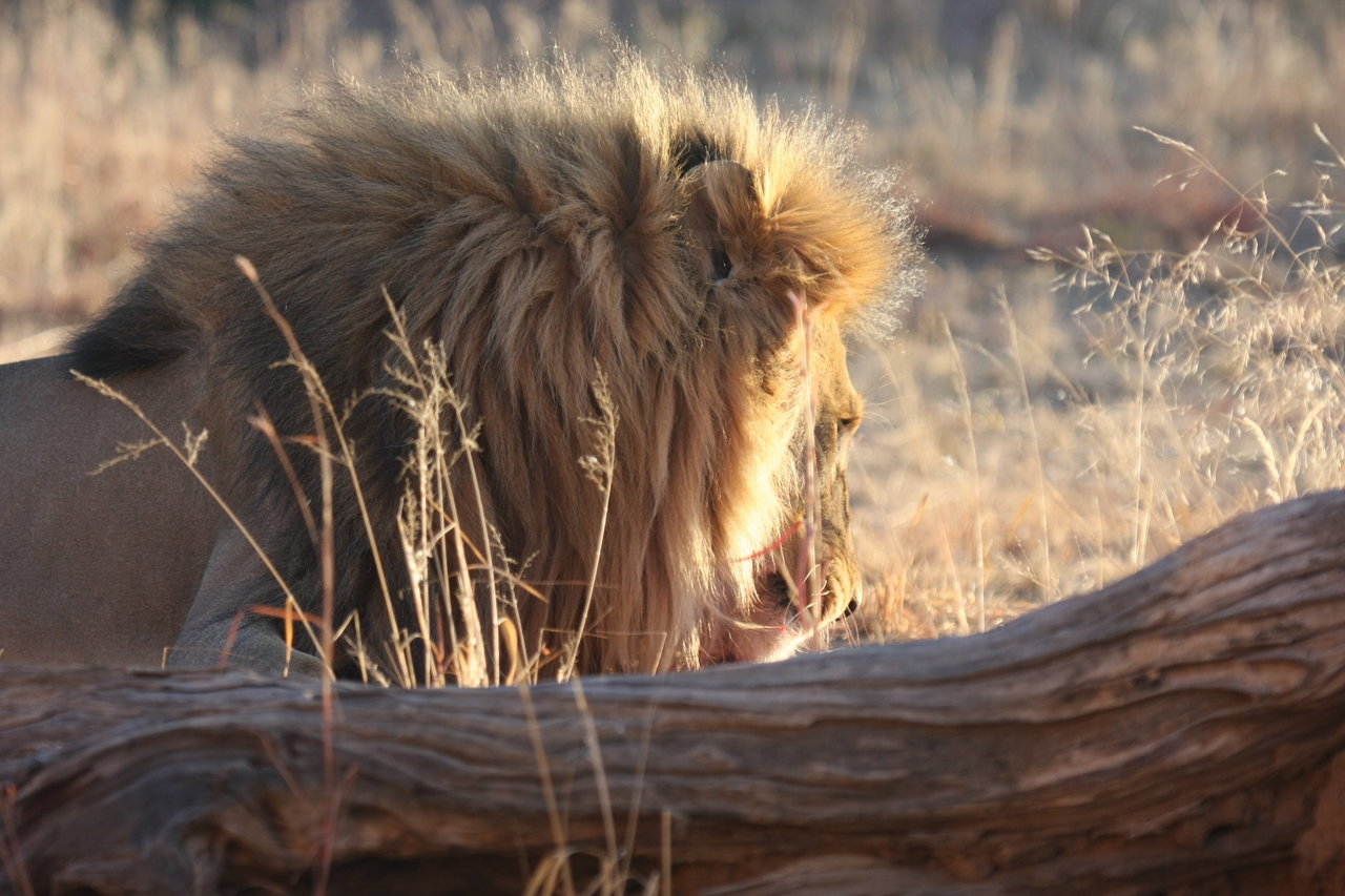 [8072] 2016_06_23_11_50_26_Africa_Canon_EOS_40D_IMG__01630.jpg