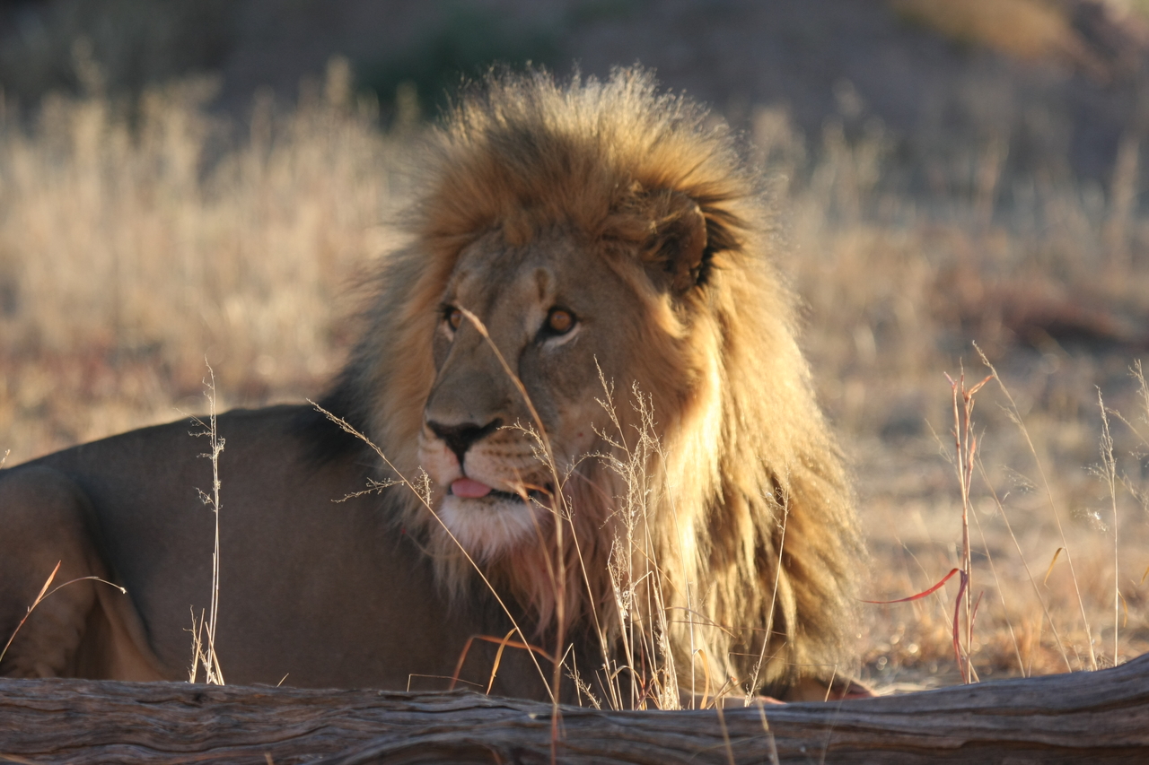 [8082] 2016_06_23_11_51_08_Africa_Canon_EOS_40D_IMG__09081.jpg