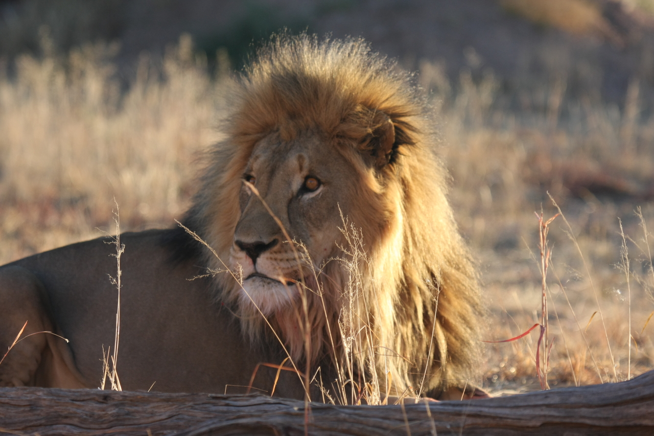 [8084] 2016_06_23_11_51_09_Africa_Canon_EOS_40D_IMG__00802.jpg