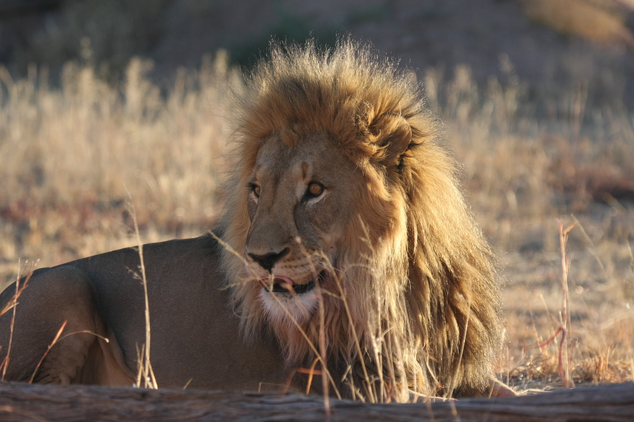 [8103] 2016_06_23_11_51_13_Africa_Canon_EOS_40D_IMG__09088.jpg