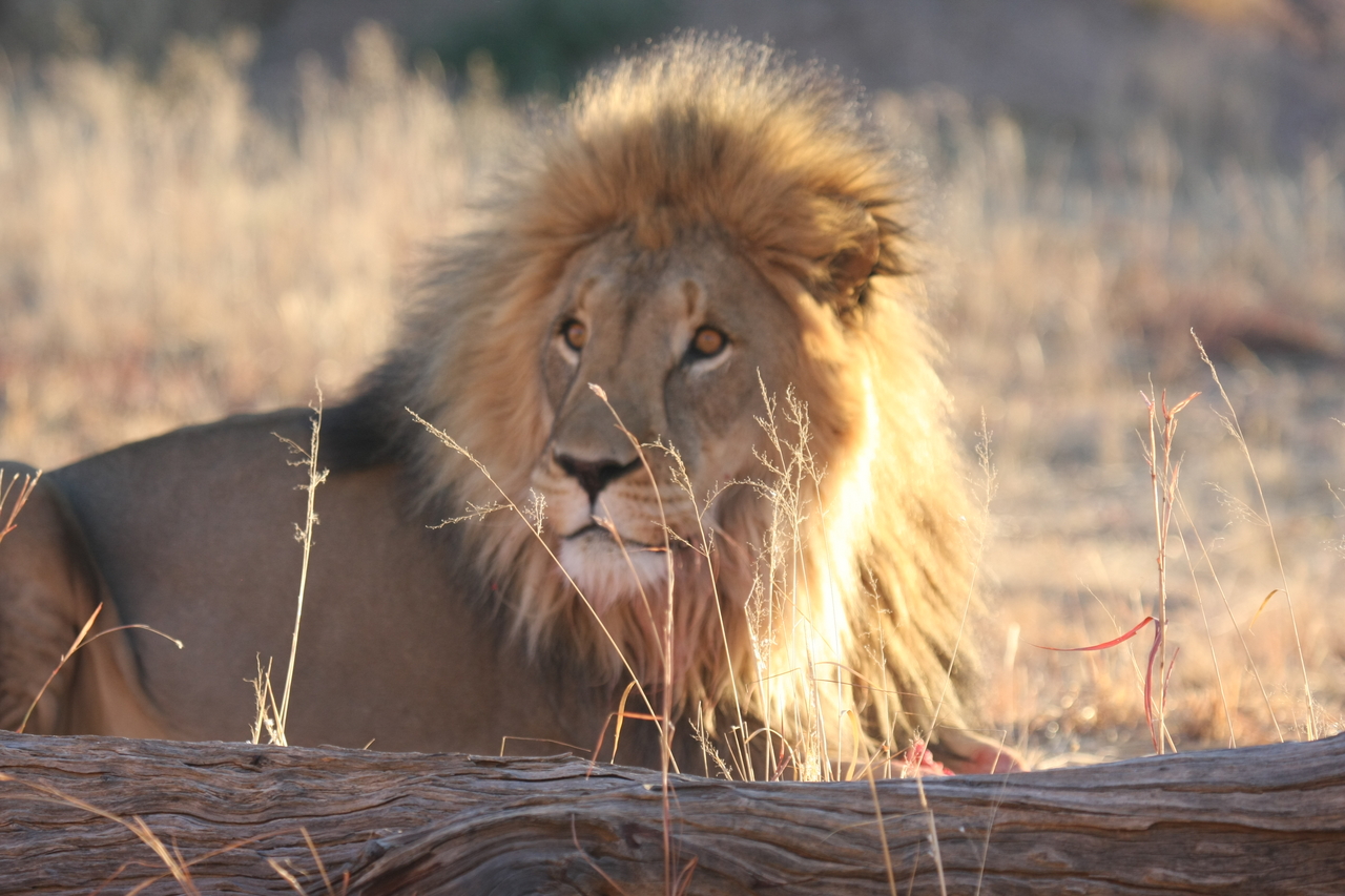 [8128] 2016_06_23_11_51_54_Africa_Canon_EOS_40D_IMG__00817.jpg