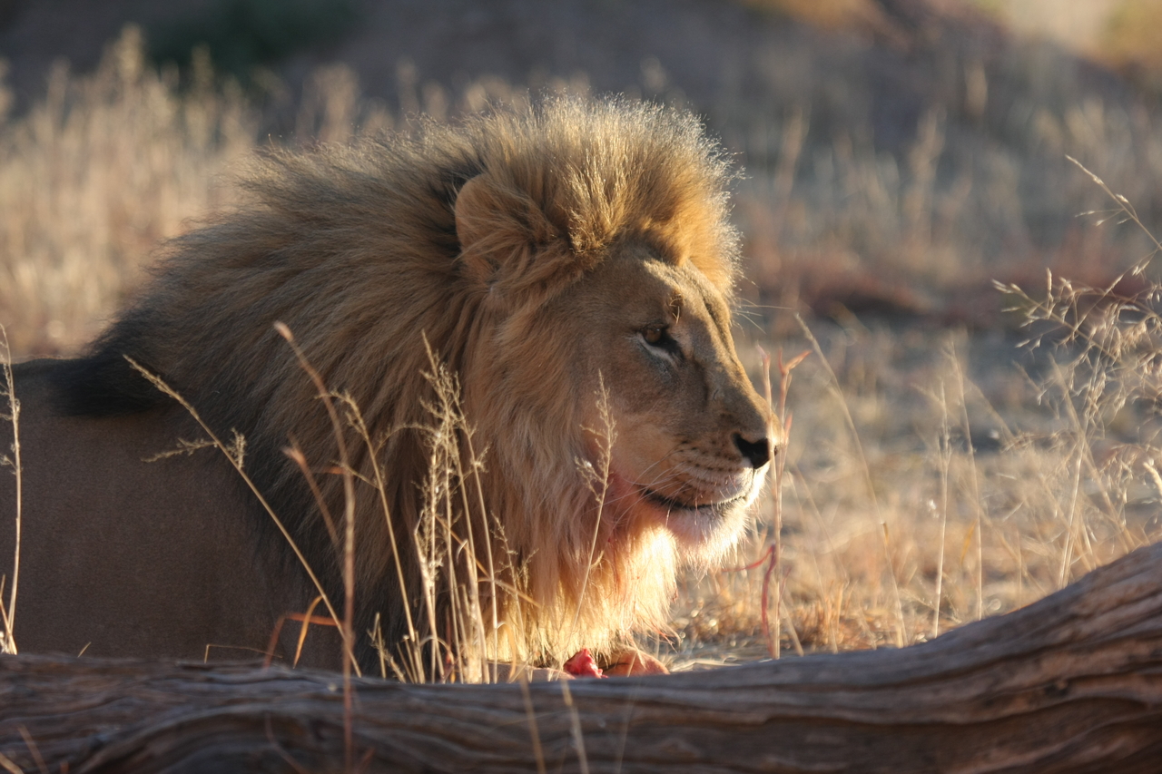 [8161] 2016_06_23_11_52_00_Africa_Canon_EOS_40D_IMG__01663.jpg