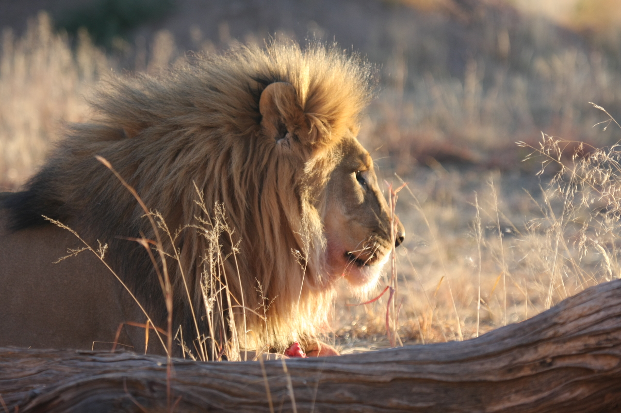 [8166] 2016_06_23_11_52_03_Africa_Canon_EOS_40D_IMG__01664.jpg