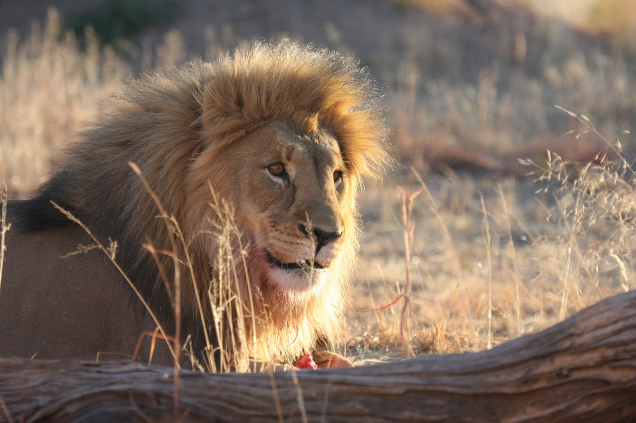 [8172] 2016_06_23_11_52_04_Africa_Canon_EOS_40D_IMG__01667.jpg