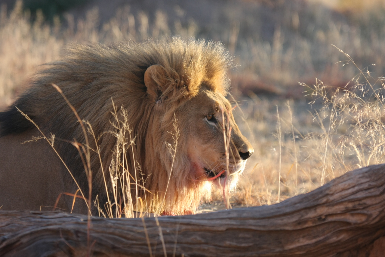 [8188] 2016_06_23_11_52_09_Africa_Canon_EOS_40D_IMG__00839.jpg