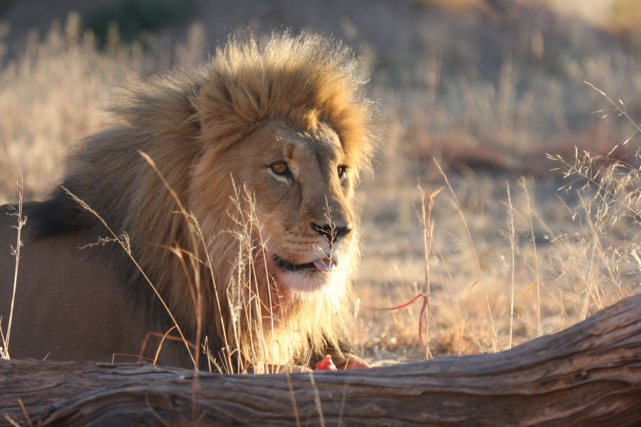 [8207] 2016_06_23_11_52_12_Africa_Canon_EOS_40D_IMG__09126.jpg
