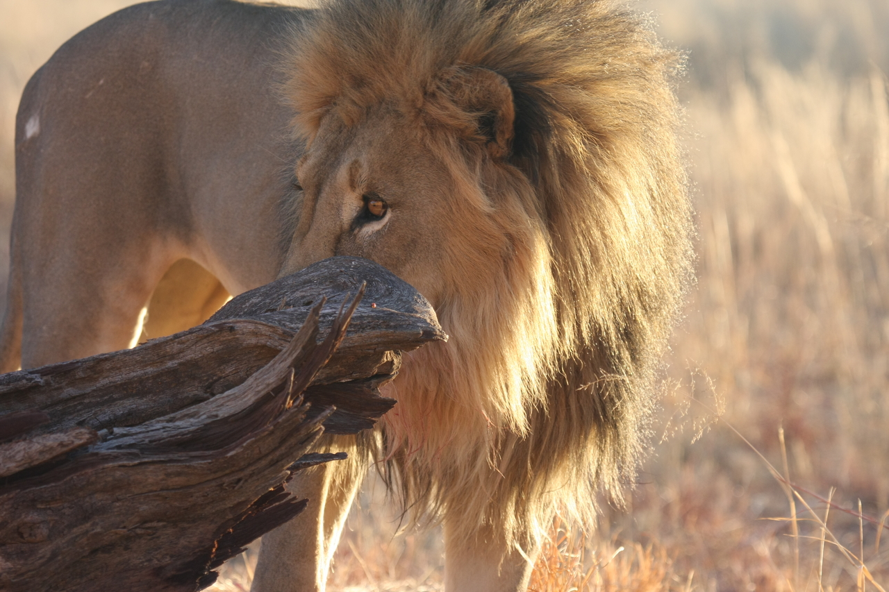 [8235] 2016_06_23_11_52_24_Africa_Canon_EOS_40D_IMG__00858.jpg