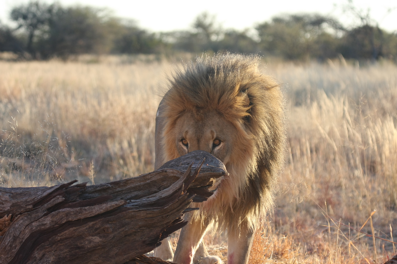 [8248] 2016_06_23_11_52_30_Africa_Canon_EOS_40D_IMG__01694.jpg