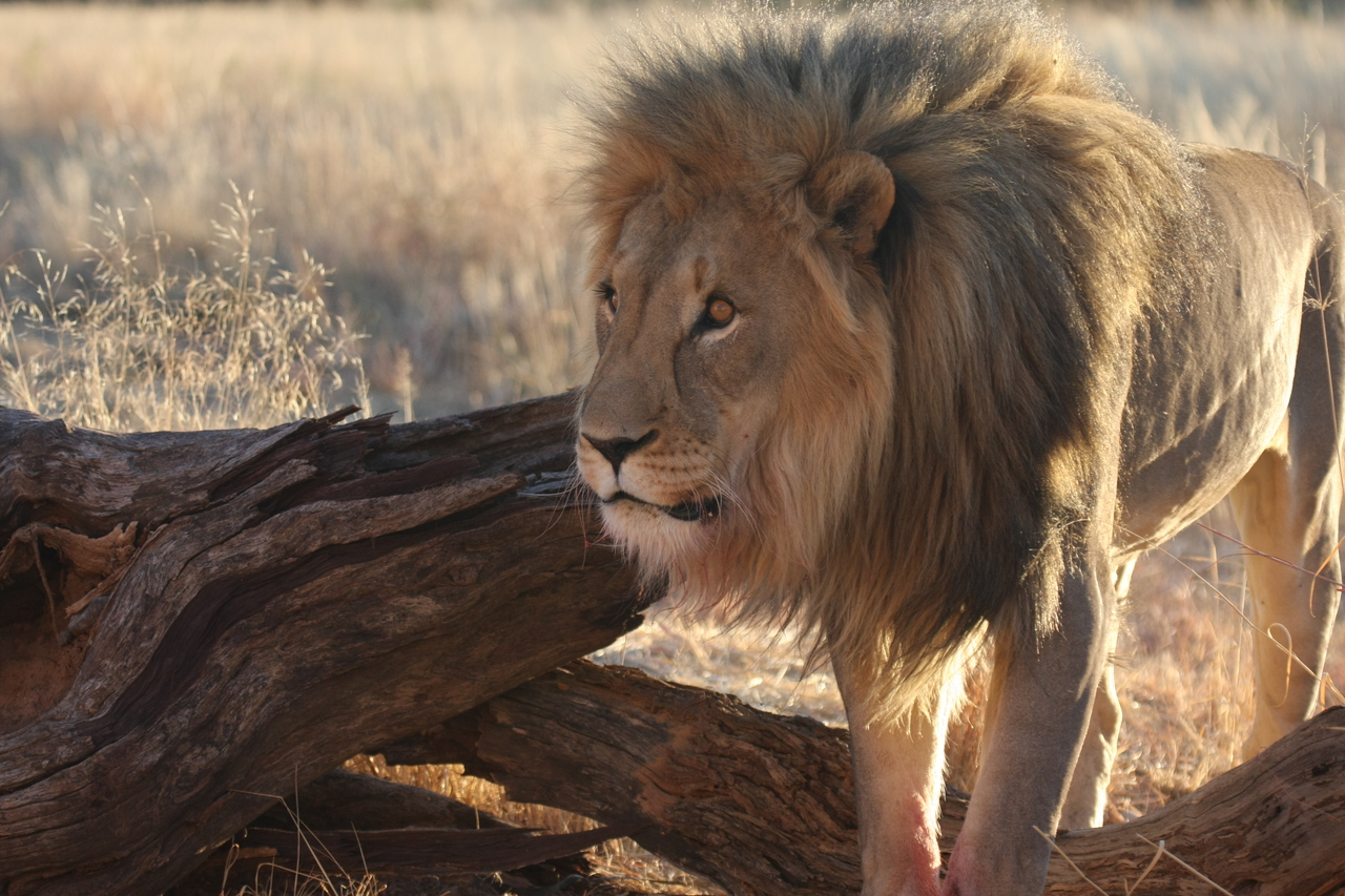 [8271] 2016_06_23_11_52_34_Africa_Canon_EOS_40D_IMG__00870.jpg