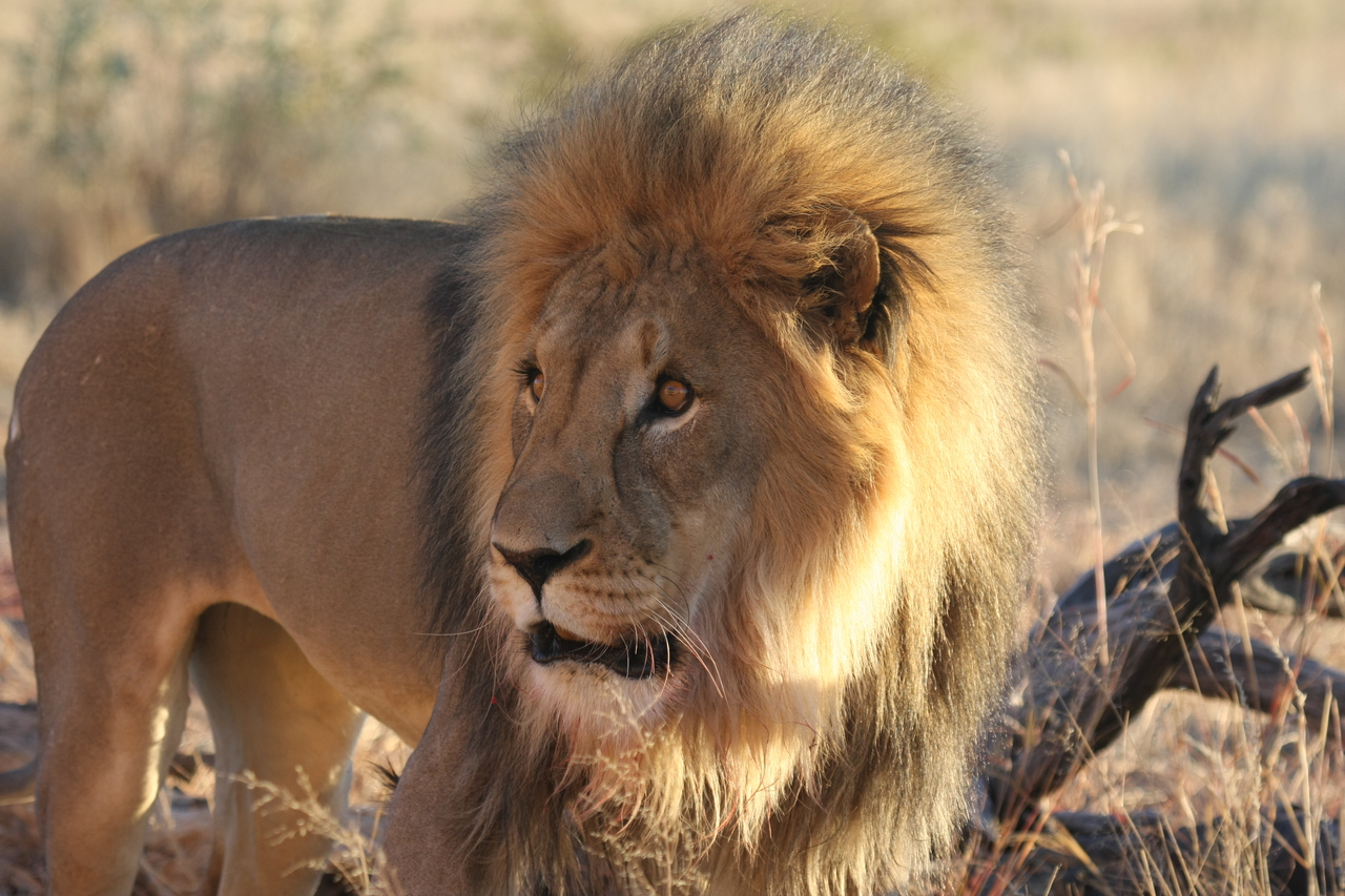 [8293] 2016_06_23_11_53_33_Africa_Canon_EOS_40D_IMG__00877.jpg