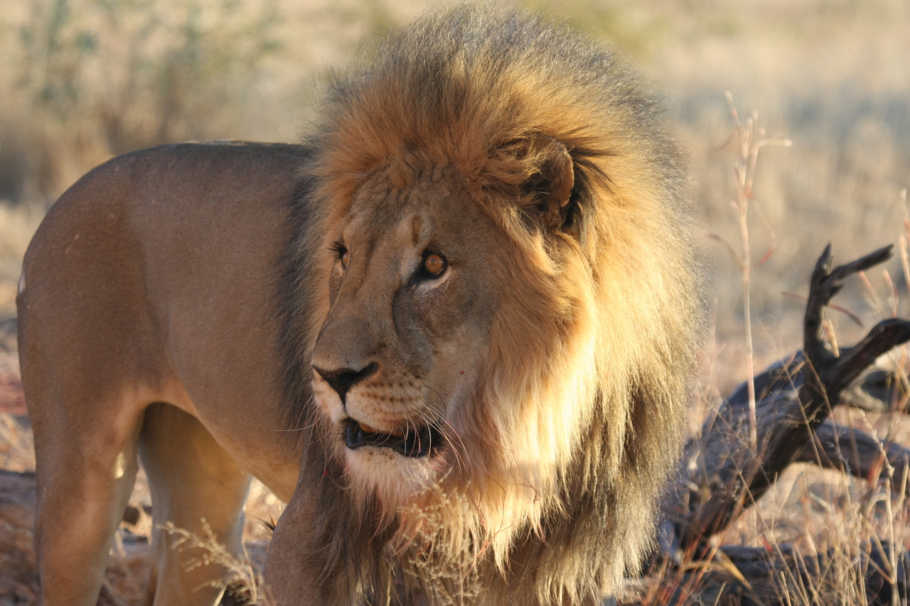 [8294] 2016_06_23_11_53_33_Africa_Canon_EOS_40D_IMG__00878.jpg