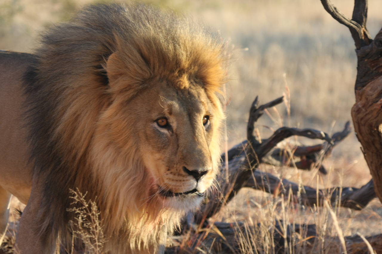 [8313] 2016_06_23_11_53_36_Africa_Canon_EOS_40D_IMG__01717.jpg