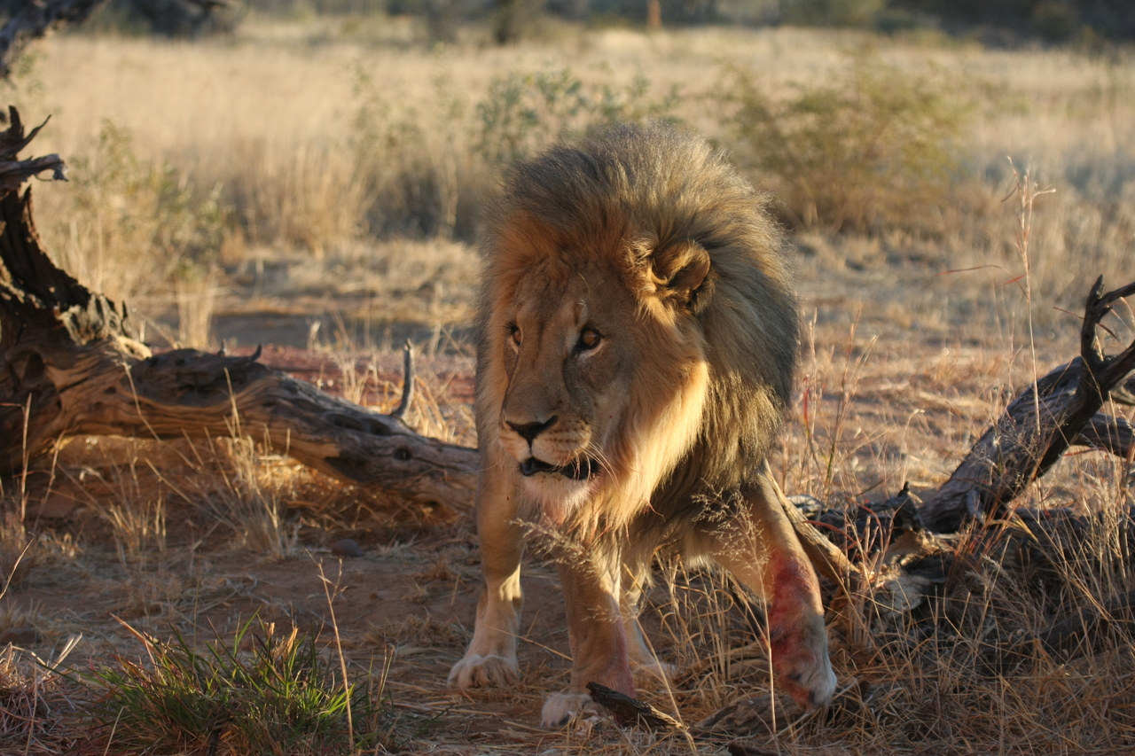 [8333] 2016_06_23_11_53_45_Africa_Canon_EOS_40D_IMG__01725.jpg