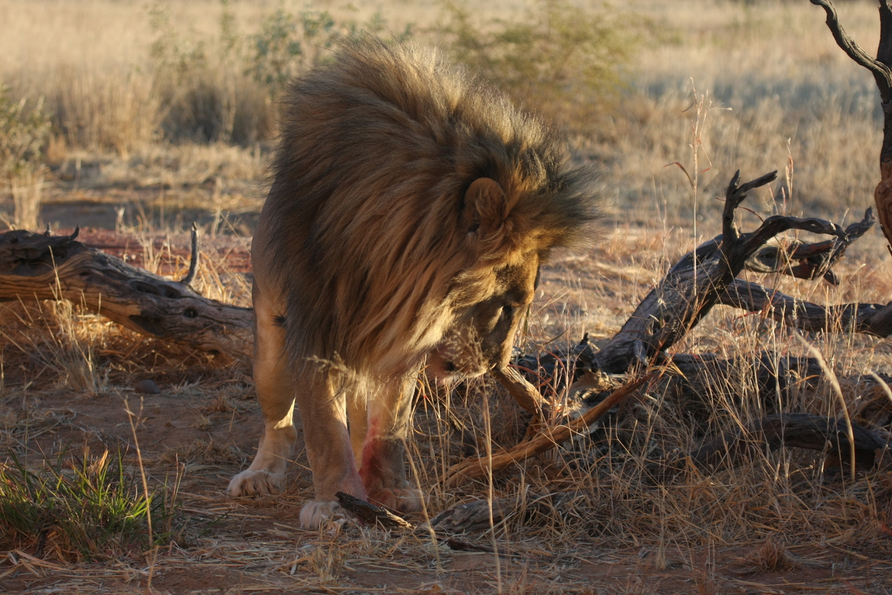 [8348] 2016_06_23_11_53_47_Africa_Canon_EOS_40D_IMG__01730.jpg