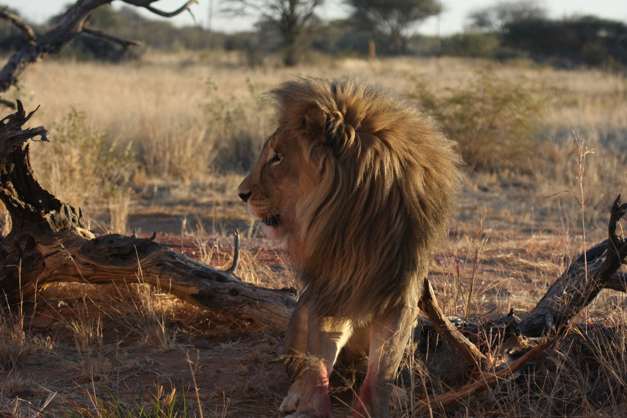 [8363] 2016_06_23_11_53_57_Africa_Canon_EOS_40D_IMG__01736.jpg