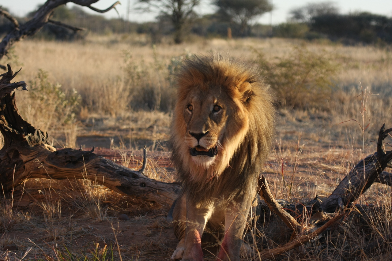 [8379] 2016_06_23_11_54_03_Africa_Canon_EOS_40D_IMG__01740.jpg