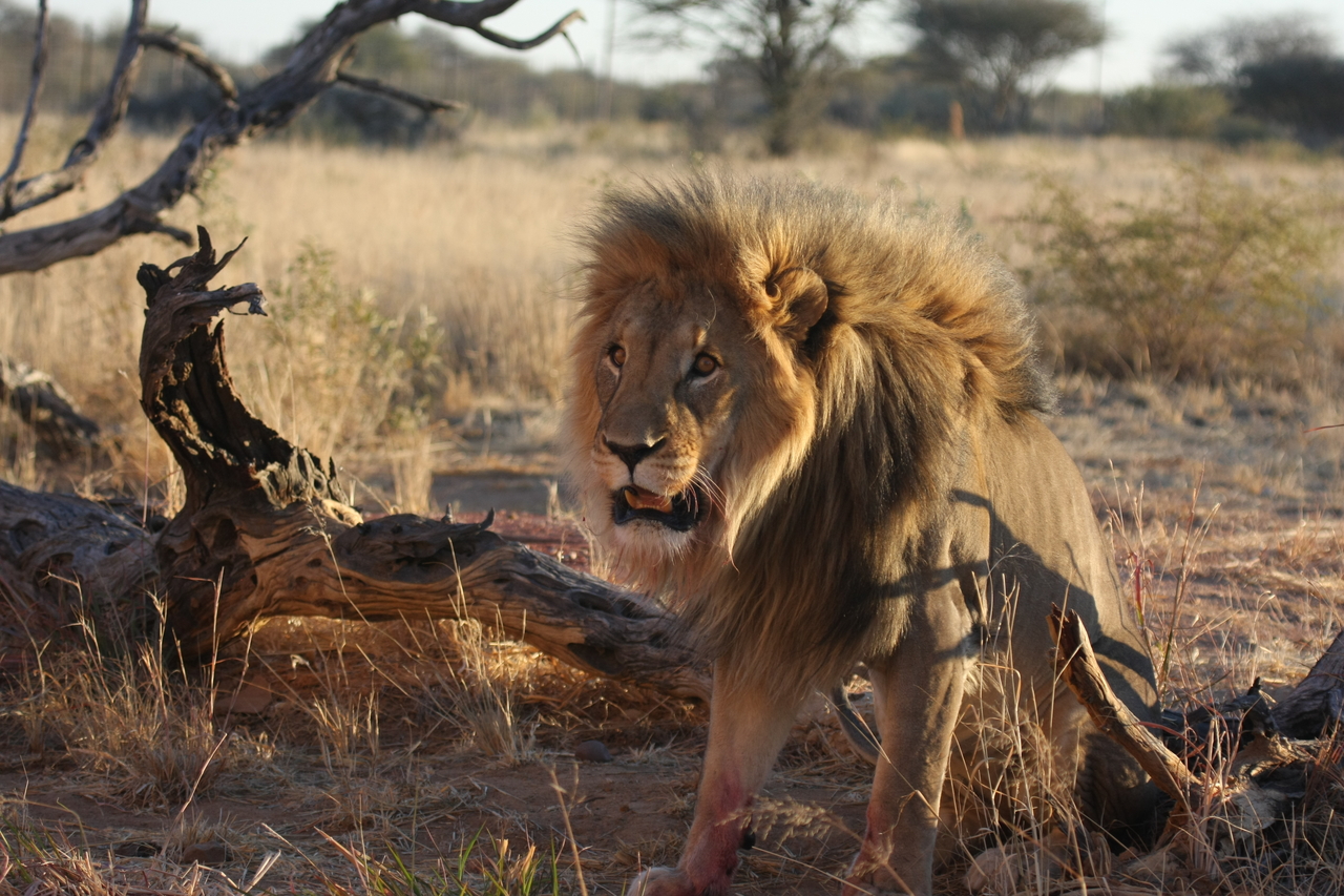 [8395] 2016_06_23_11_54_12_Africa_Canon_EOS_40D_IMG__01745.jpg