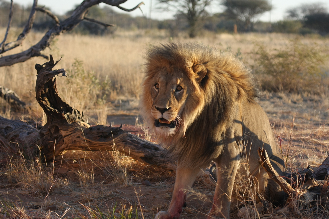 [8402] 2016_06_23_11_54_13_Africa_Canon_EOS_40D_IMG__00915.jpg