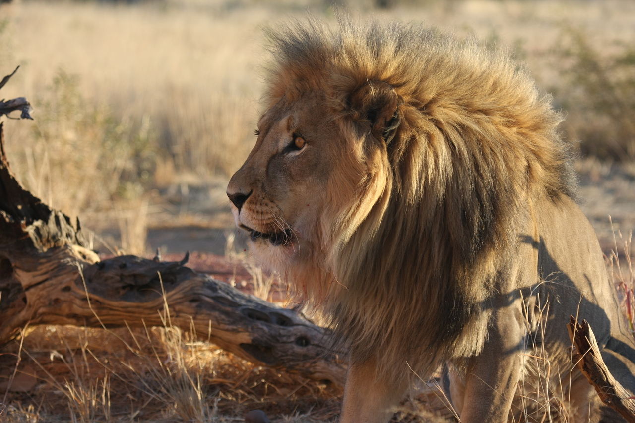 [8423] 2016_06_23_11_54_18_Africa_Canon_EOS_40D_IMG__01756.jpg