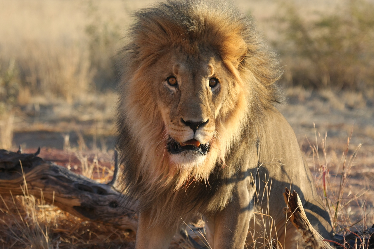 [8451] 2016_06_23_11_54_26_Africa_Canon_EOS_40D_IMG__01762.jpg