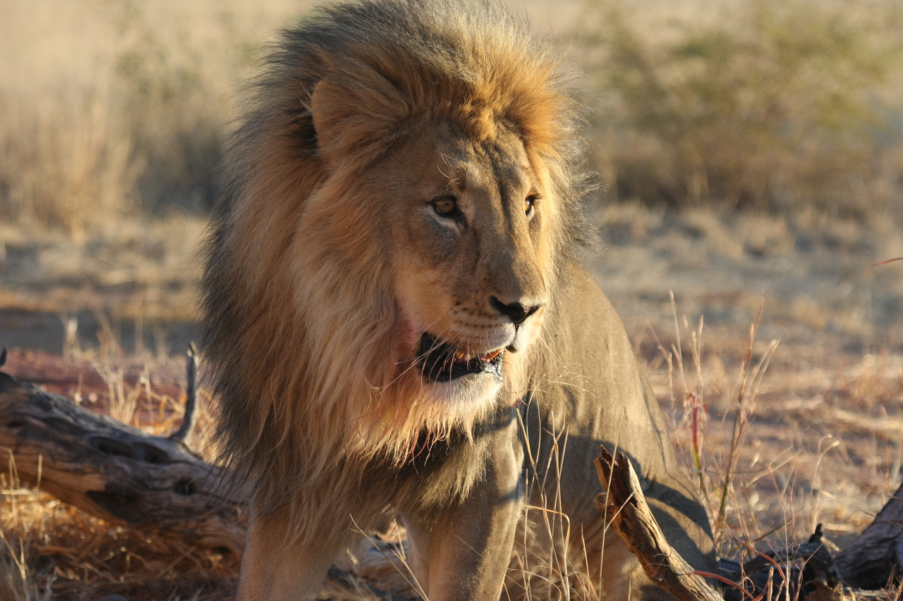 [8472] 2016_06_23_11_54_29_Africa_Canon_EOS_40D_IMG__00937.jpg