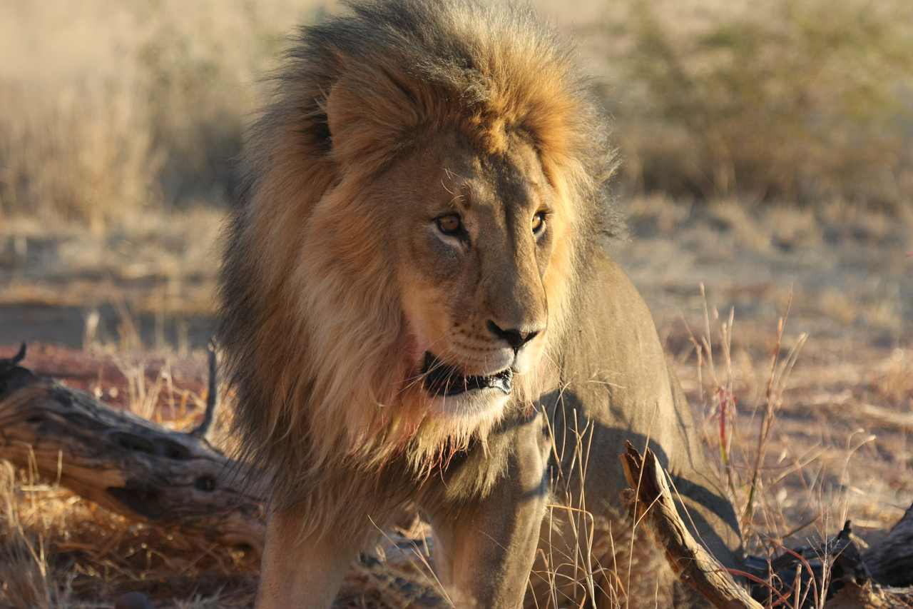 [8473] 2016_06_23_11_54_29_Africa_Canon_EOS_40D_IMG__01769.jpg