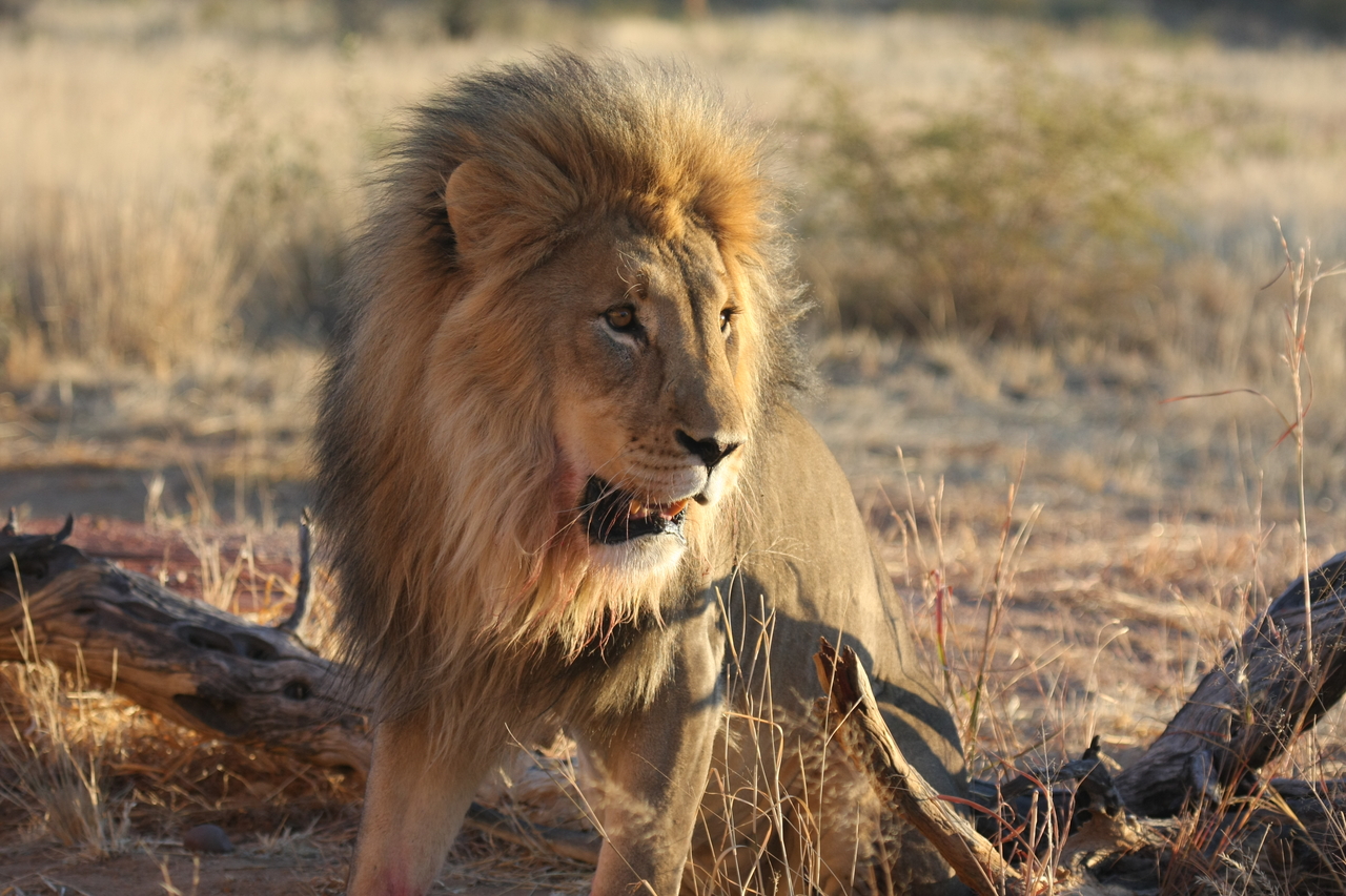 [8485] 2016_06_23_11_54_31_Africa_Canon_EOS_40D_IMG__01774.jpg