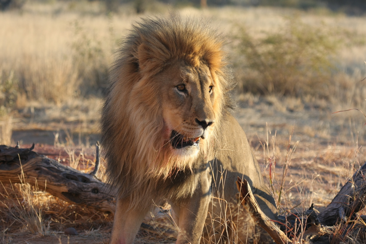 [8490] 2016_06_23_11_54_32_Africa_Canon_EOS_40D_IMG__00941.jpg