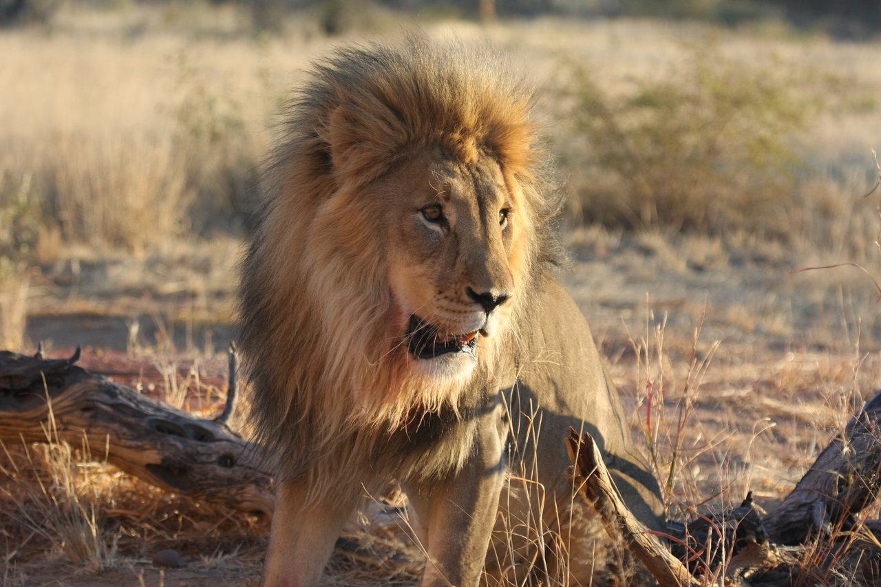 [8499] 2016_06_23_11_54_33_Africa_Canon_EOS_40D_IMG__09224.jpg