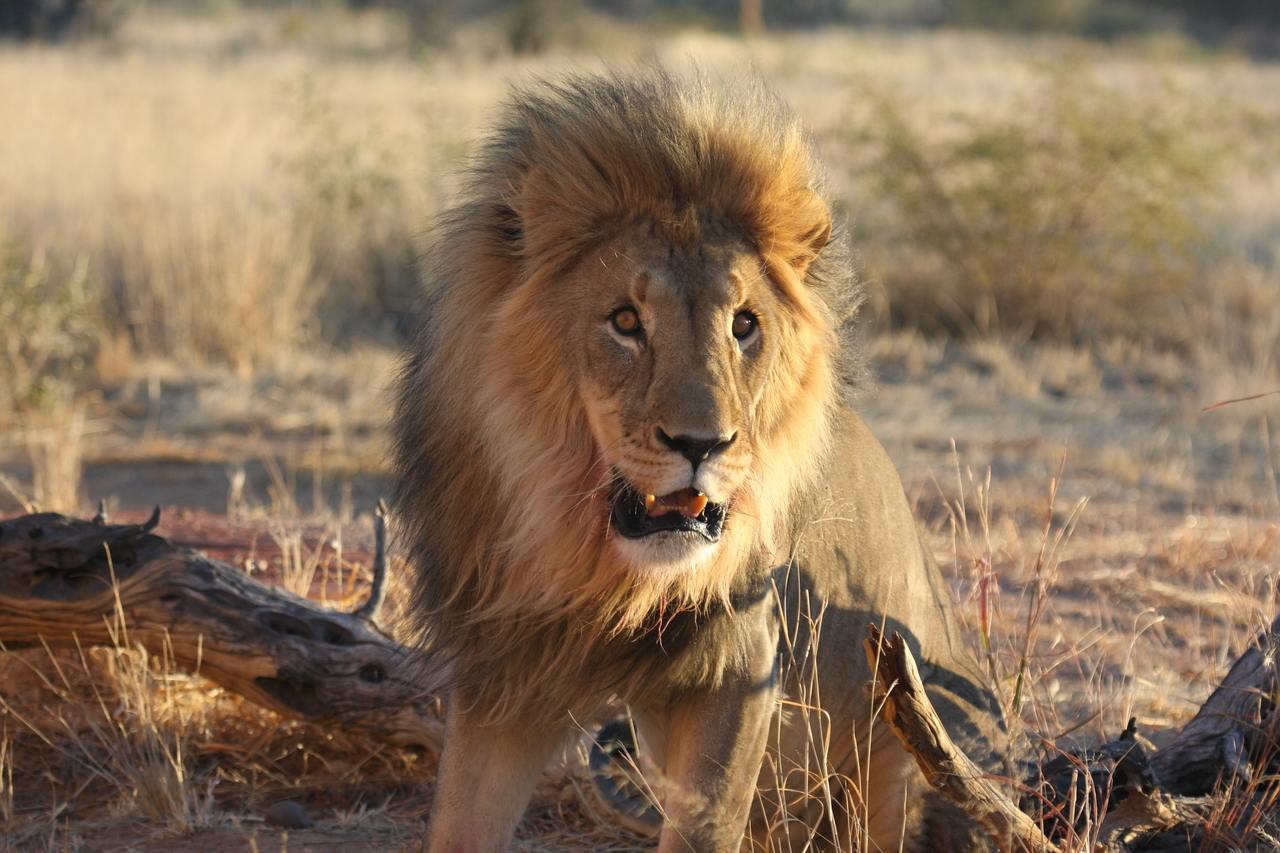 [8506] 2016_06_23_11_54_34_Africa_Canon_EOS_40D_IMG__01781.jpg
