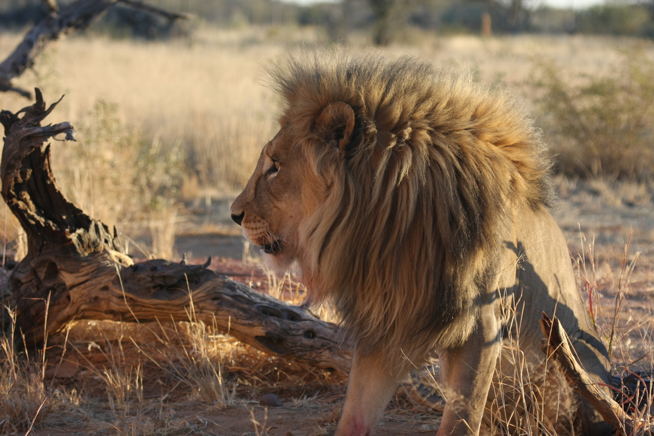 [8540] 2016_06_23_11_54_41_Africa_Canon_EOS_40D_IMG__00957.jpg