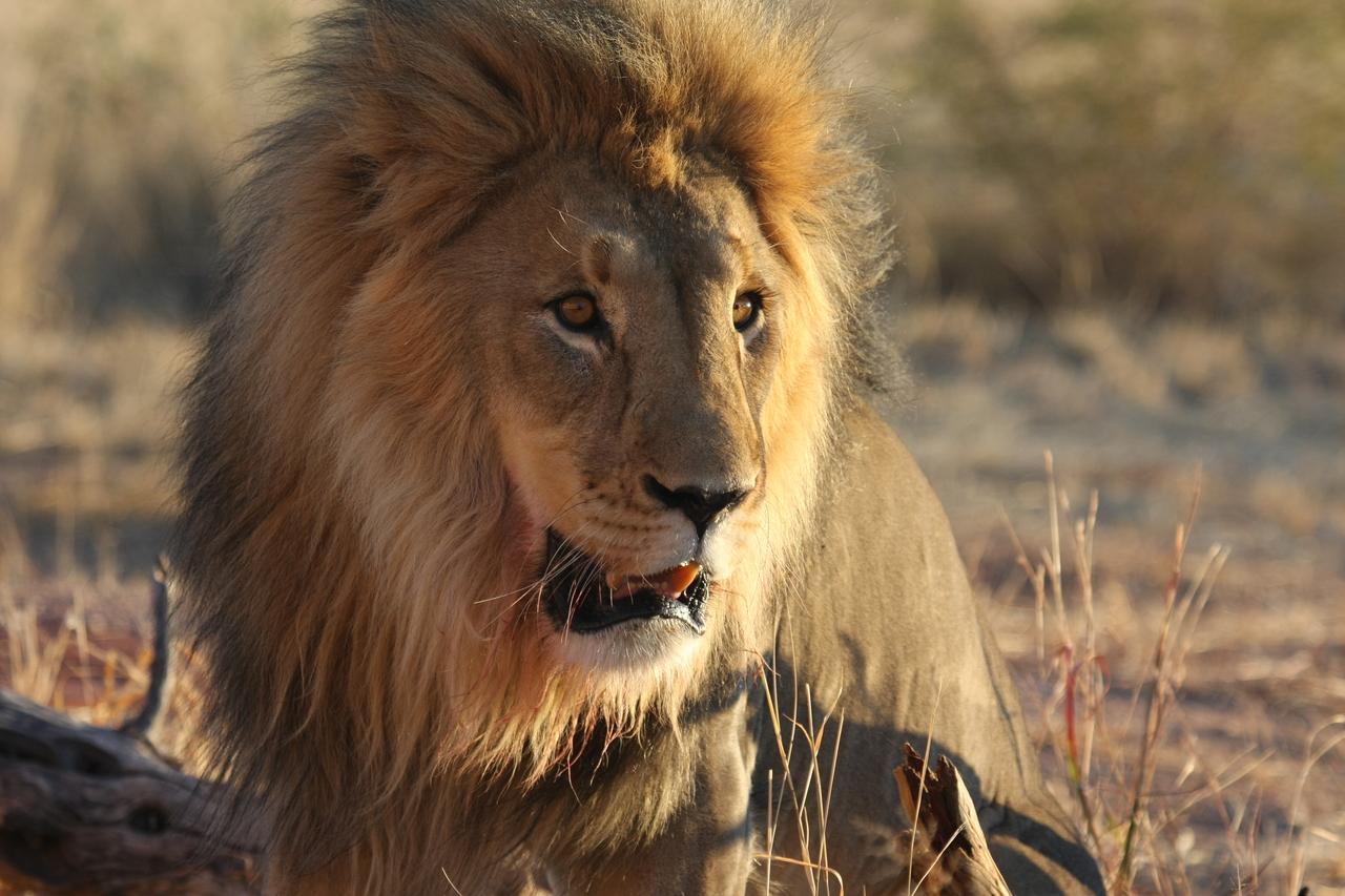 [8565] 2016_06_23_11_54_53_Africa_Canon_EOS_40D_IMG__01797.jpg