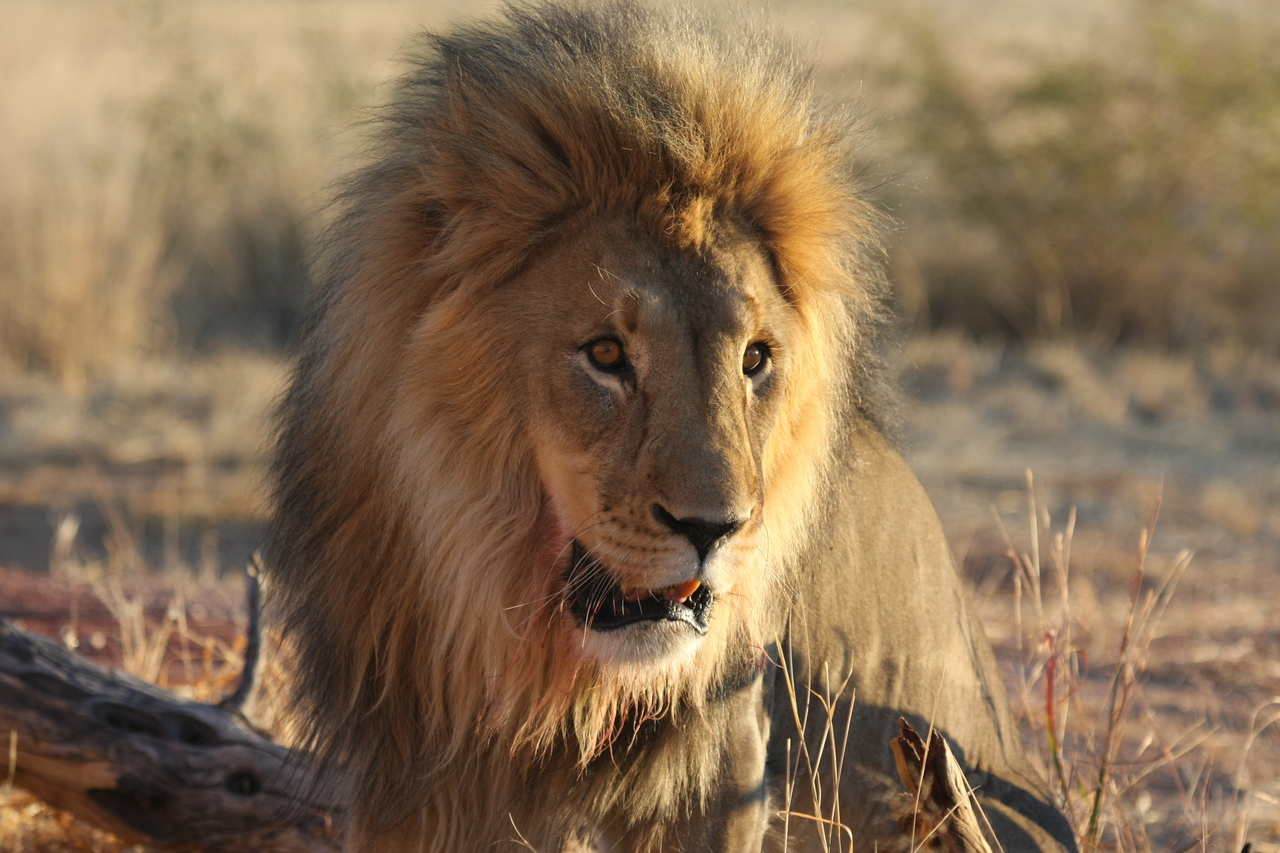 [8572] 2016_06_23_11_54_54_Africa_Canon_EOS_40D_IMG__00968.jpg