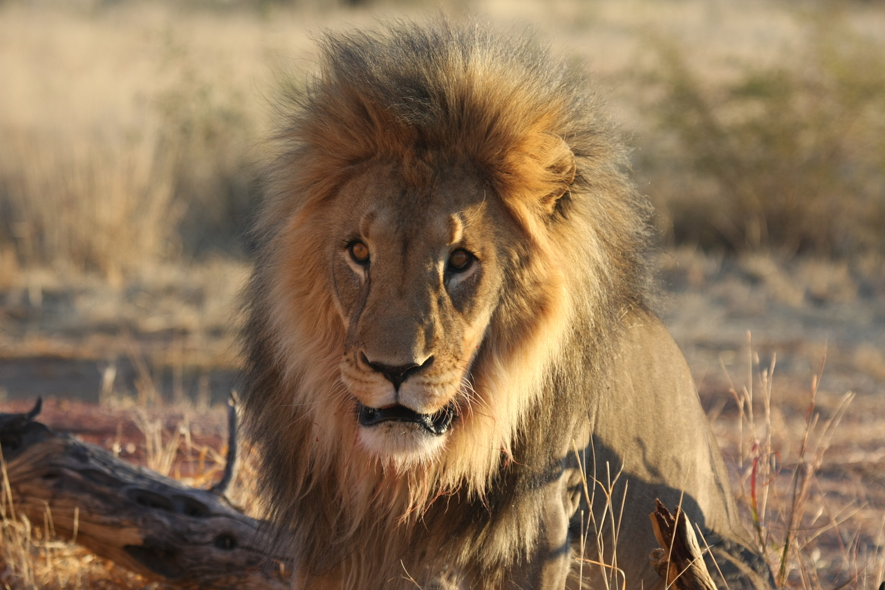 [8594] 2016_06_23_11_54_56_Africa_Canon_EOS_40D_IMG__09253.jpg