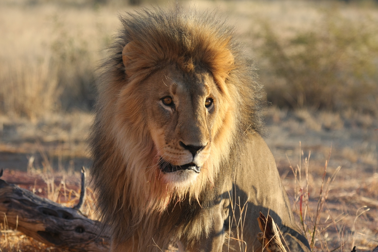 [8628] 2016_06_23_11_55_11_Africa_Canon_EOS_40D_IMG__00989.jpg