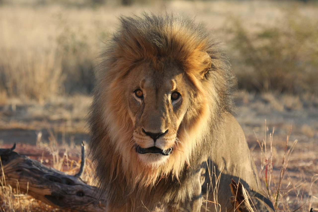 [8649] 2016_06_23_11_55_13_Africa_Canon_EOS_40D_IMG__09275.jpg