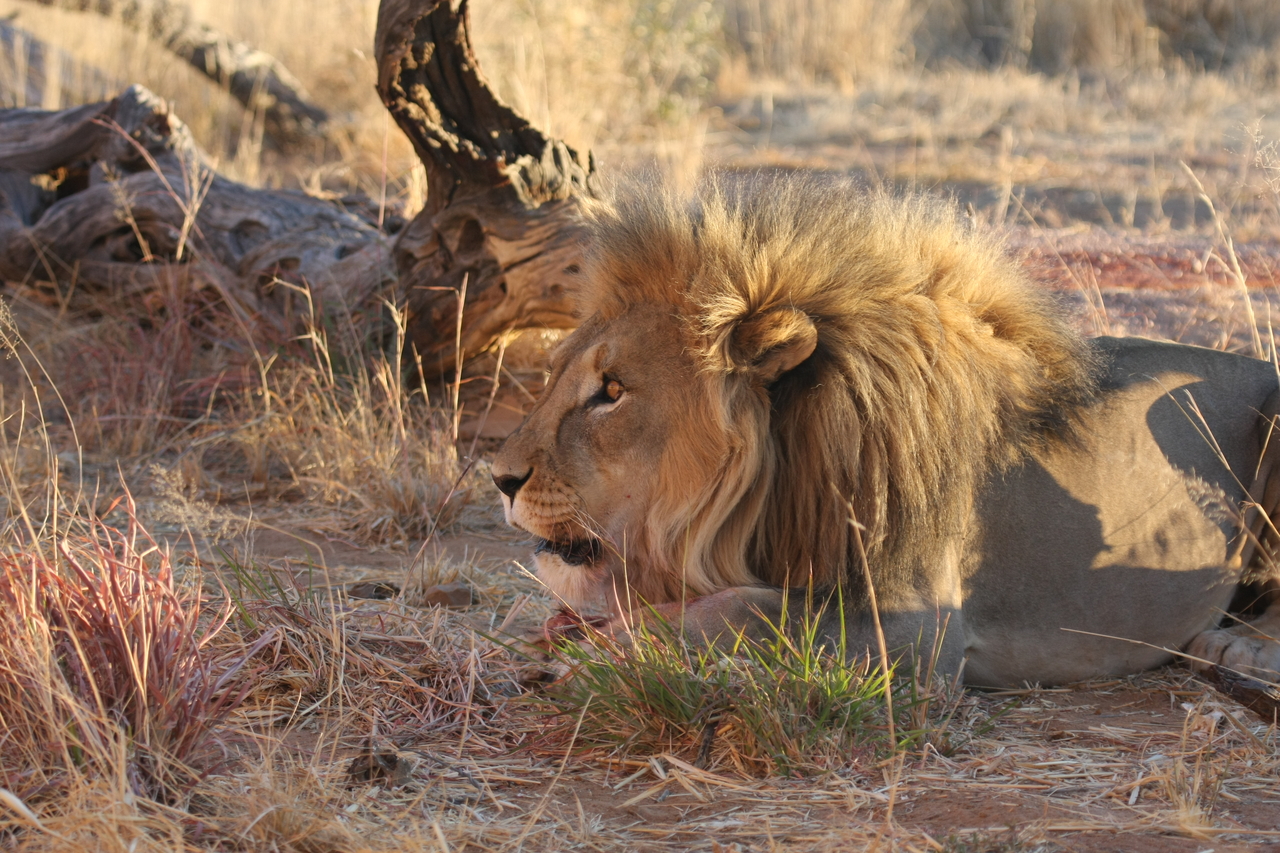 [8658] 2016_06_23_11_55_36_Africa_Canon_EOS_40D_IMG__00997.jpg