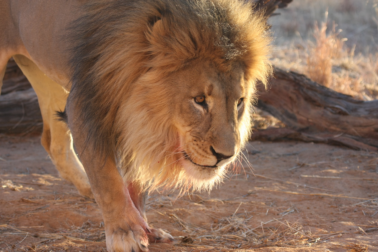 [8724] 2016_06_23_11_56_44_Africa_Canon_EOS_40D_IMG__01846.jpg