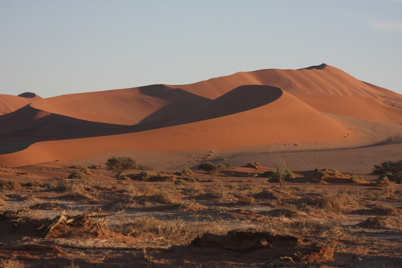 [14703] 2016_06_25_02_21_18_Africa_Canon_EOS_40D_IMG__02129.jpg