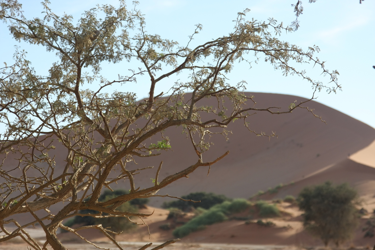 [15100] 2016_06_25_03_31_20_Africa_Canon_EOS_40D_IMG__02026.jpg