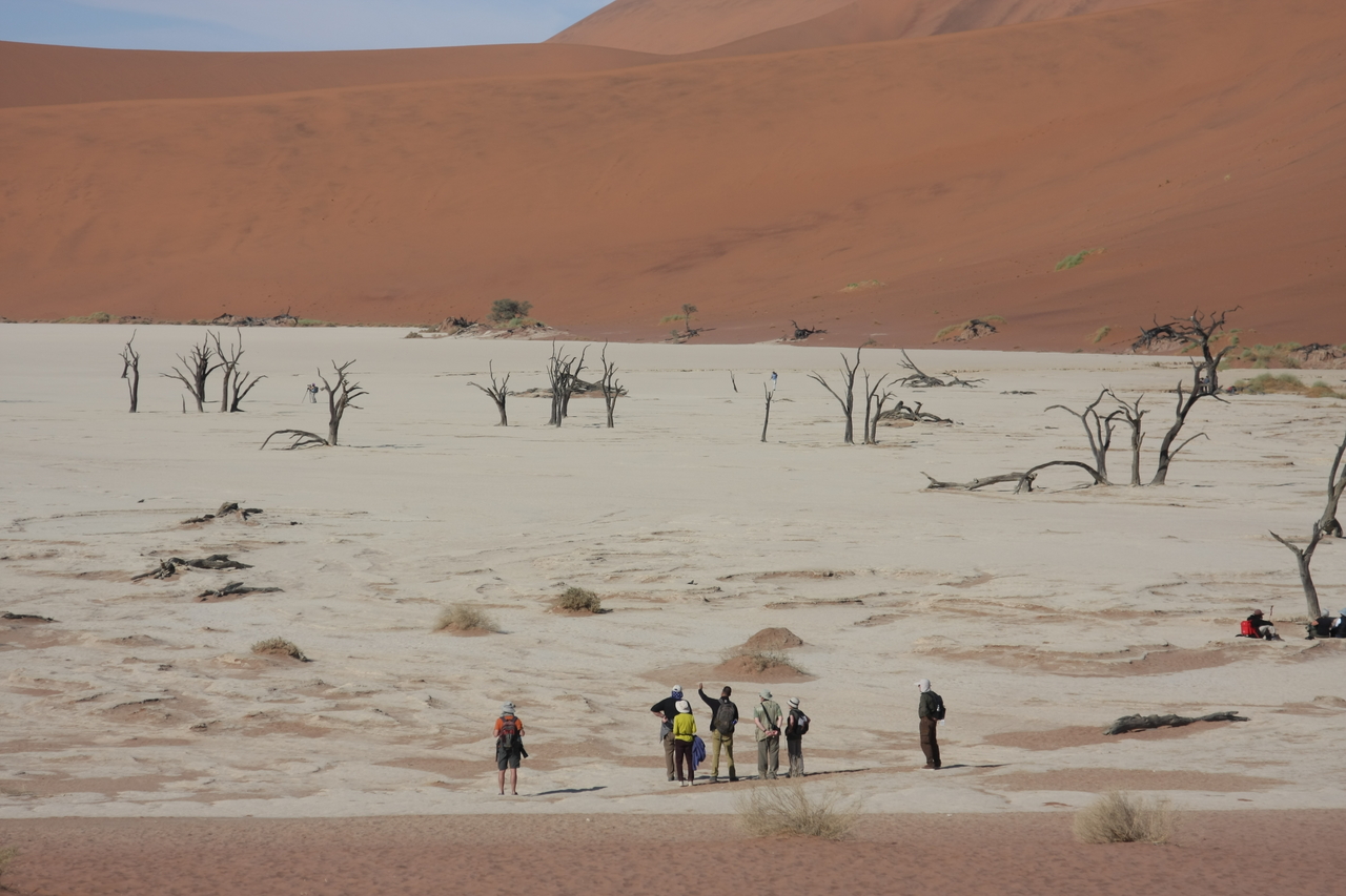 [15279] 2016_06_25_04_48_01_Africa_Canon_EOS_40D_IMG__02079.jpg