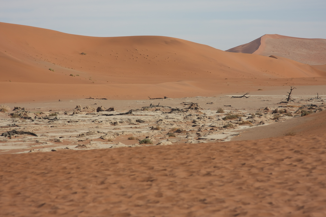 [15291] 2016_06_25_04_48_26_Africa_Canon_EOS_40D_IMG__00092.jpg