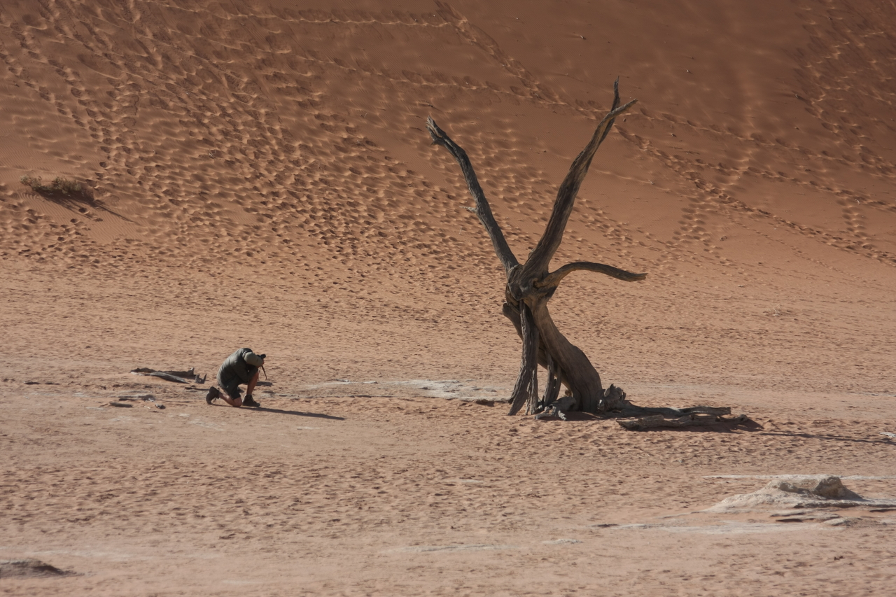 [15318] 2016_06_25_04_50_52_Africa_Canon_EOS_40D_IMG__00101.jpg