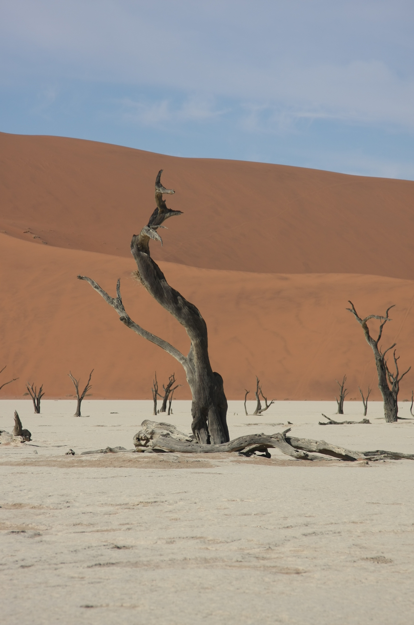 [15329] 2016_06_25_04_51_50_Africa_Canon_EOS_40D_IMG__02098.jpg