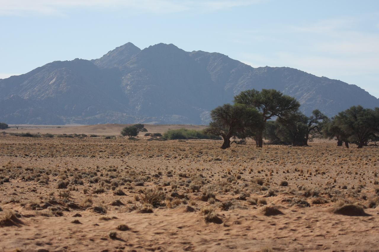 [15783] 2016_06_25_09_32_06_Africa_Canon_EOS_40D_IMG__02108.jpg