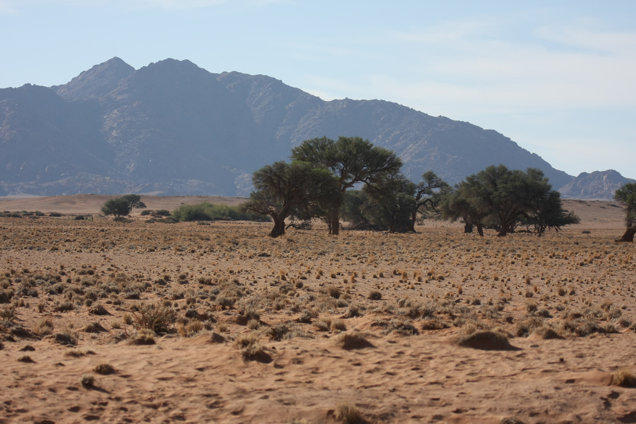[15790] 2016_06_25_09_32_19_Africa_Canon_EOS_40D_IMG__09557.jpg